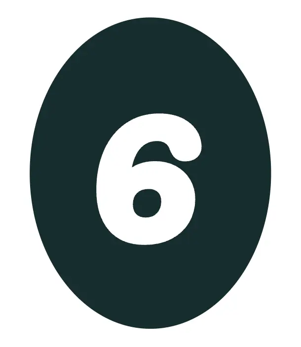 ecodyssey-6 ecodyssey 6