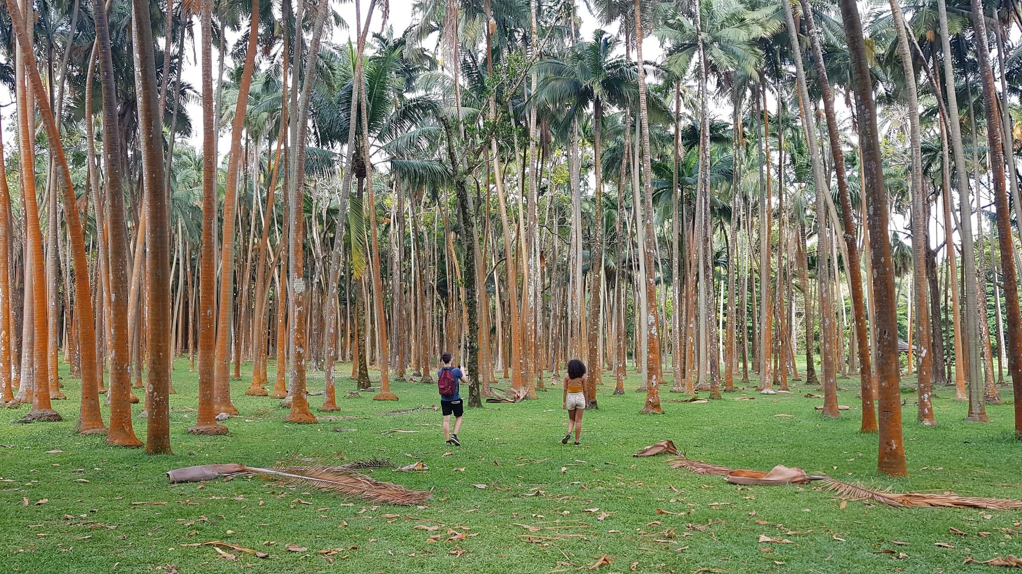 ecodyssey anse cascades 20211112 160842