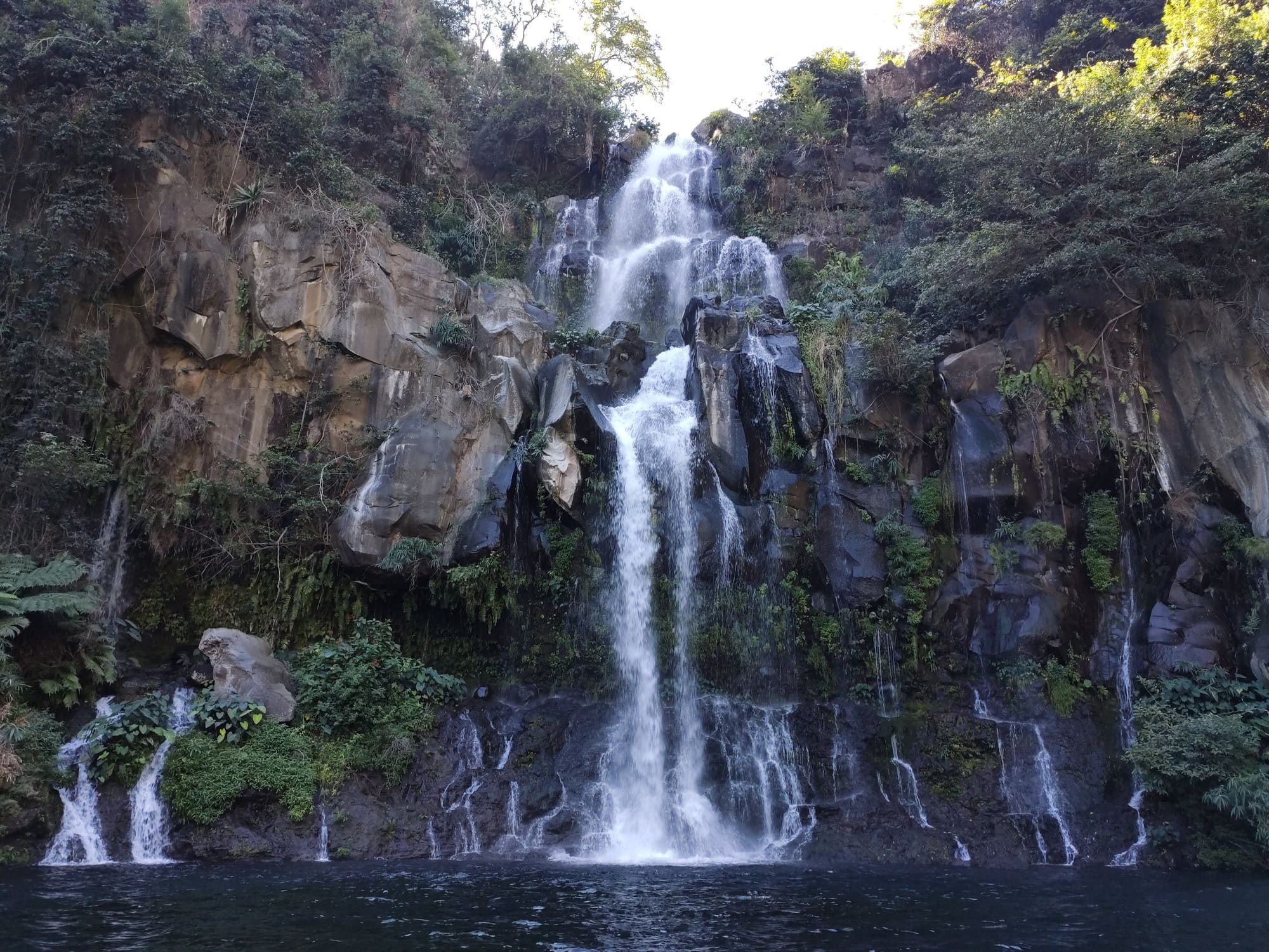 ecodyssey bassin des aigrettes IMG 20210626 114815