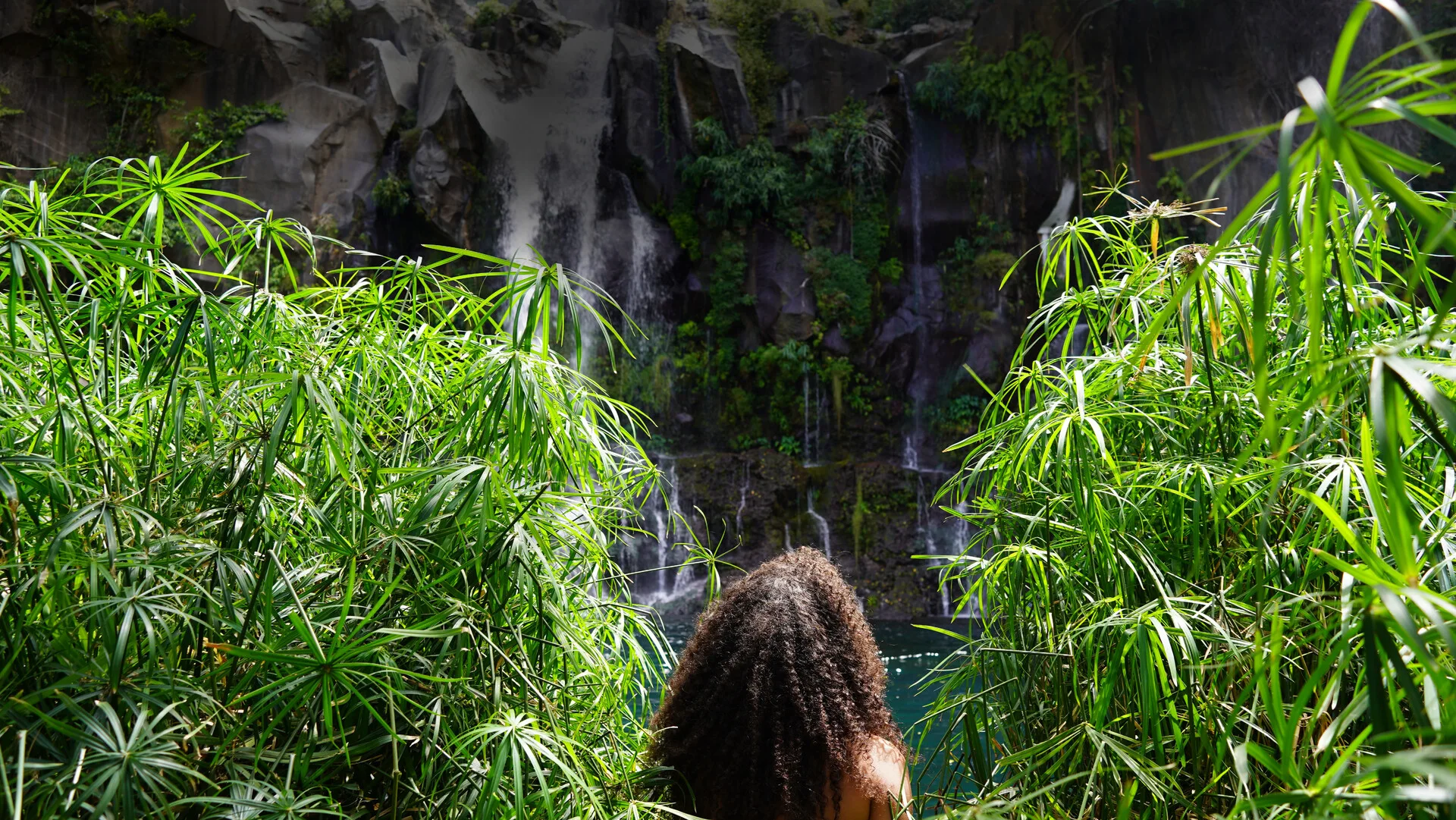Cascade des Aigrettes La Réunion