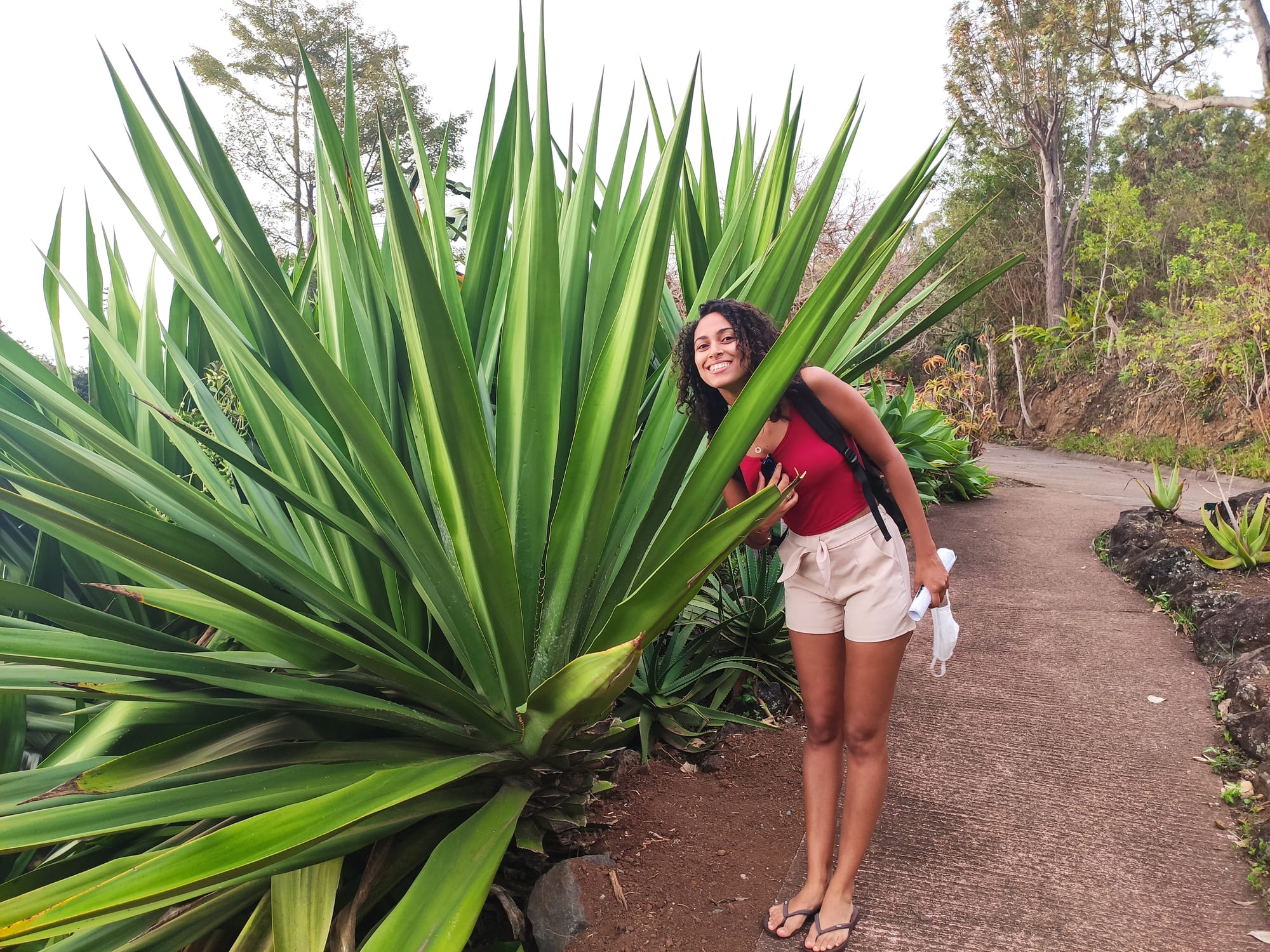 ecodyssey jardin botanique saint leu