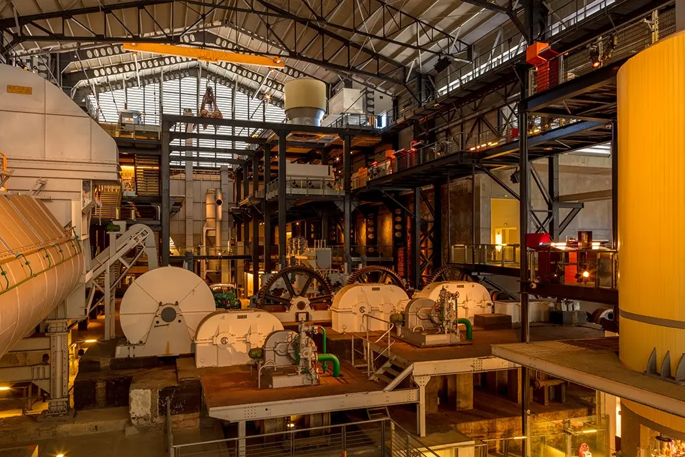 ecodyssey musee stella matutina