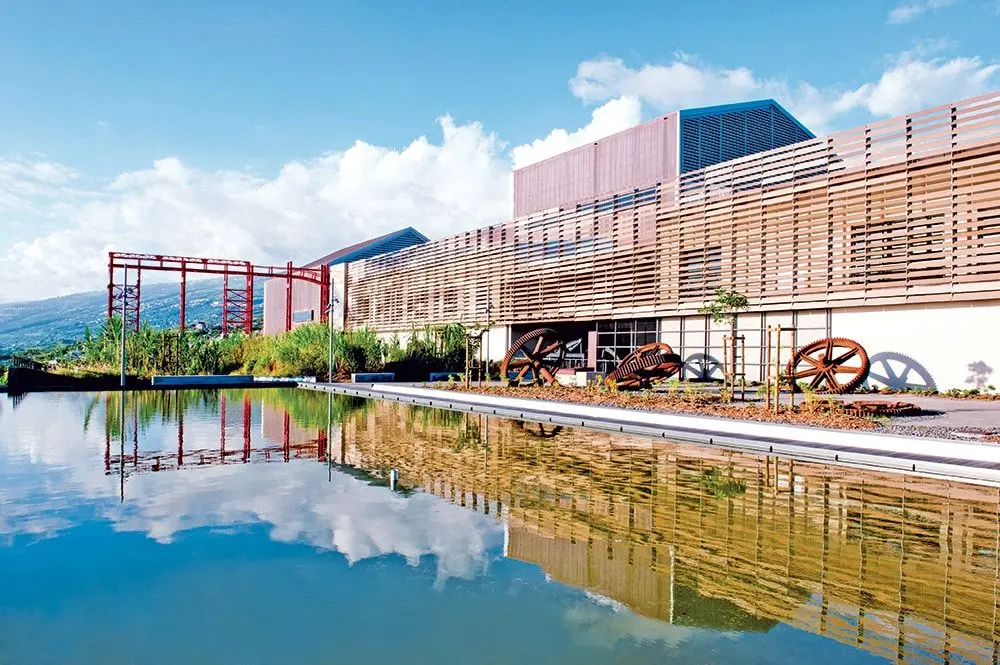 ecodyssey musee stella matutina2