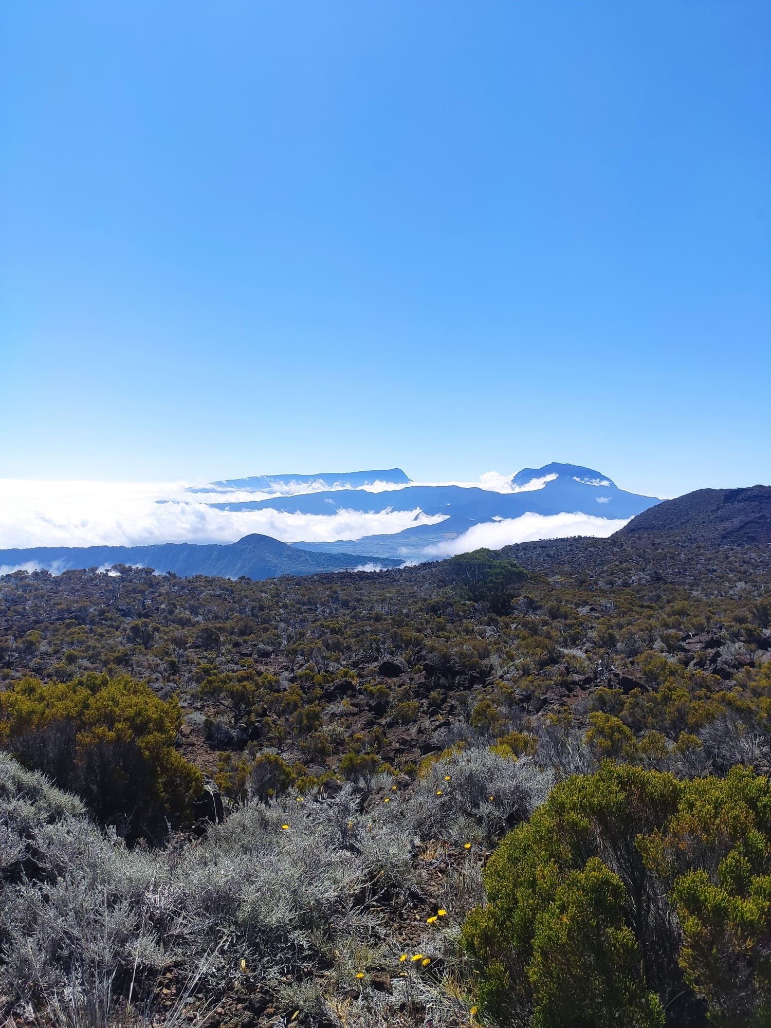 ecodyssey piton fournaise IMG 20211111 142316