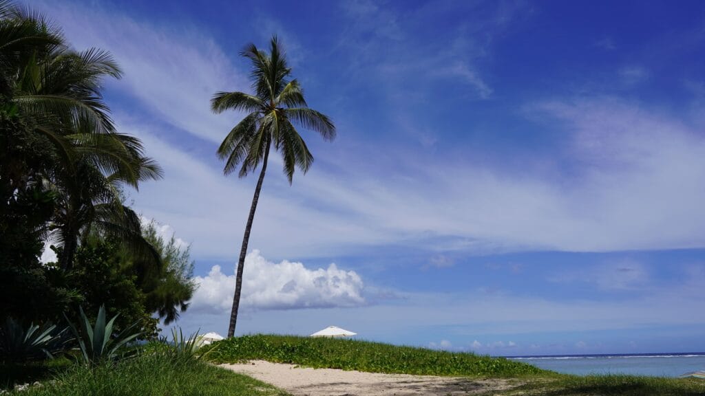 ecodyssey-plage-ermitage-saline-DSC01041 ecodyssey plage ermitage saline DSC01041