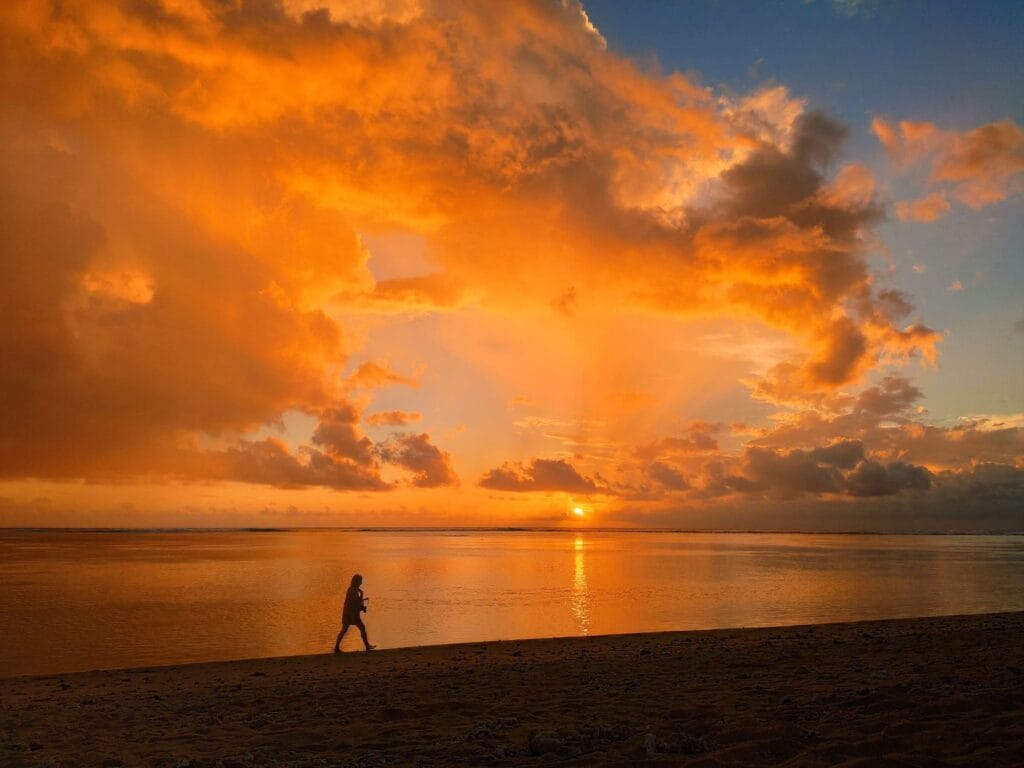 ecodyssey-plage-ermitage-saline-IMG_20210214_185031 ecodyssey plage ermitage saline IMG 20210214 185031 1