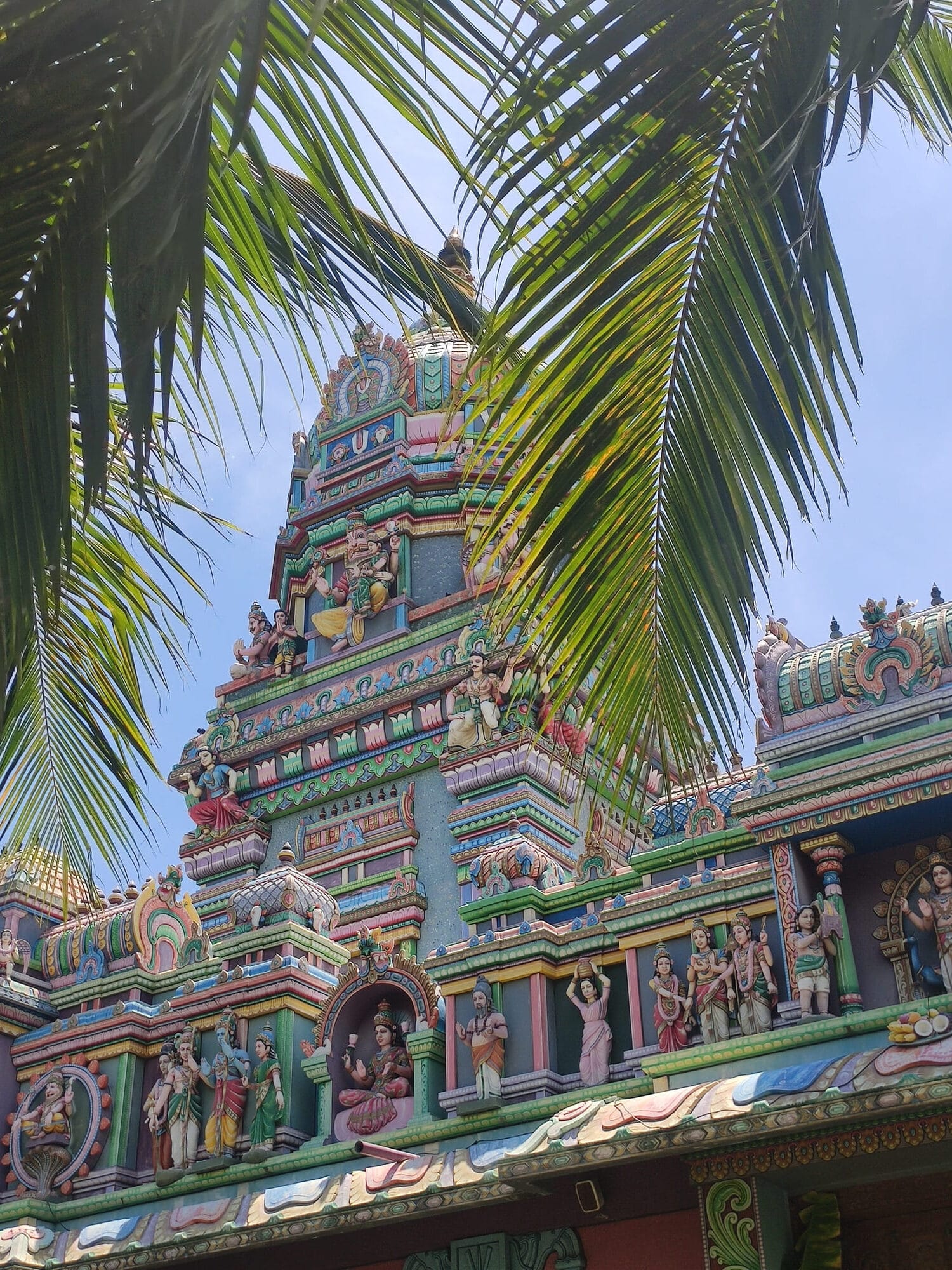 ecodyssey temple tamoul IMG 20211113 131608 rotated