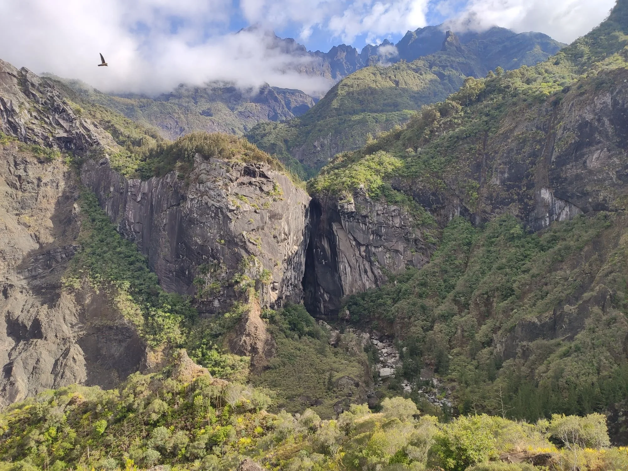 ecodyssey tout savoir pour preparer son voyage la reunion
