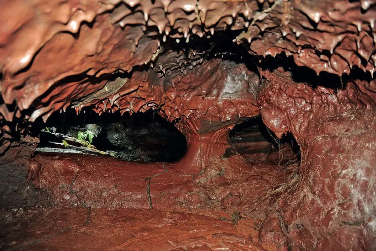 ecodyssey tunnel de lave2