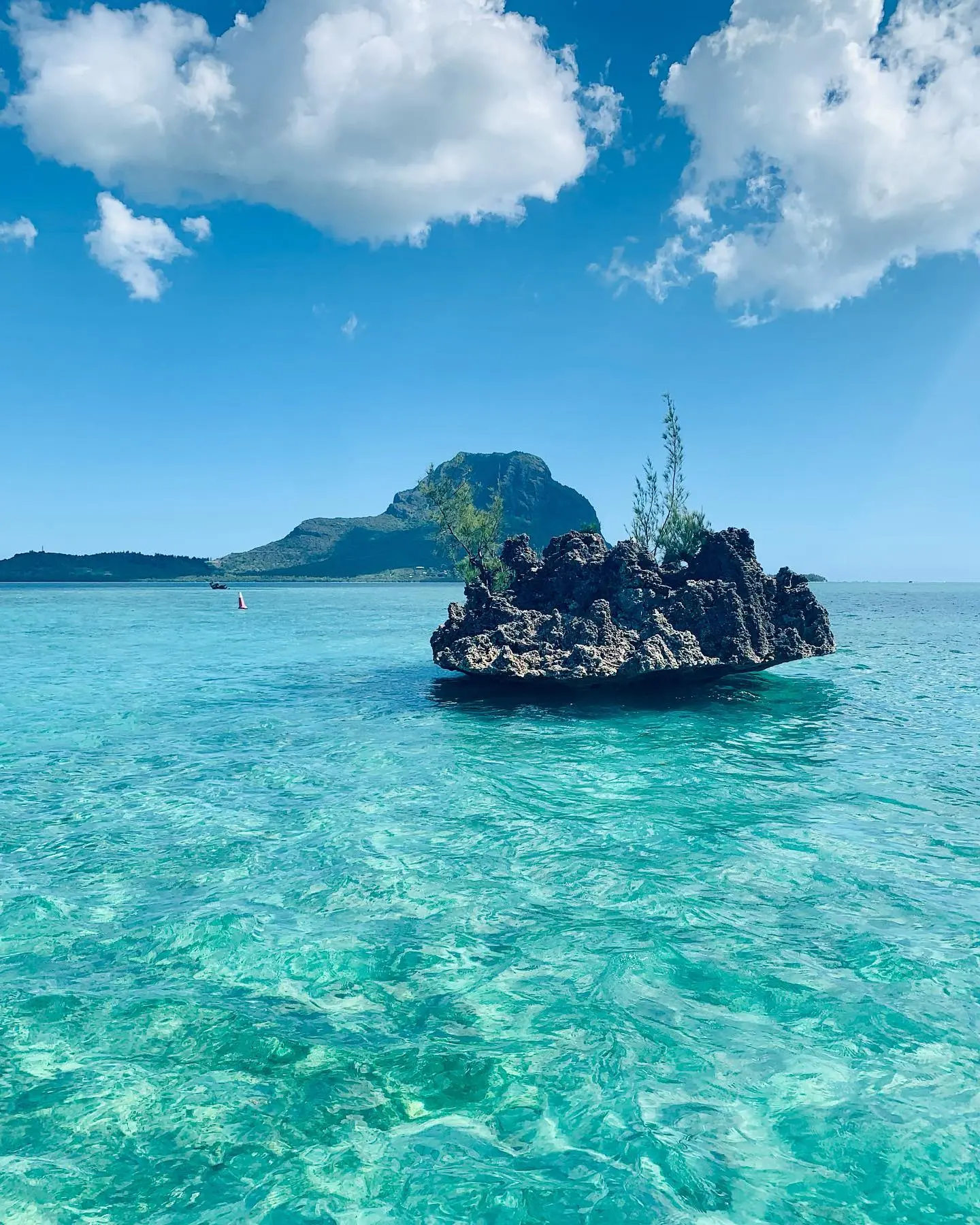 ecodyssey ile aux benitiers