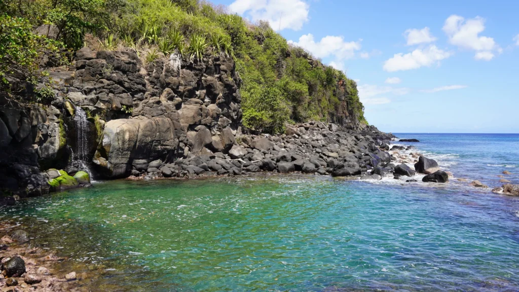 ecodyssey-ile-maurice-DSC02292 ecodyssey ile maurice DSC02292