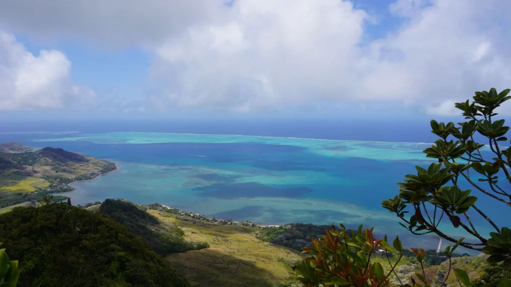 ecodyssey-ile-maurice-DSC02651 ecodyssey ile maurice DSC02651