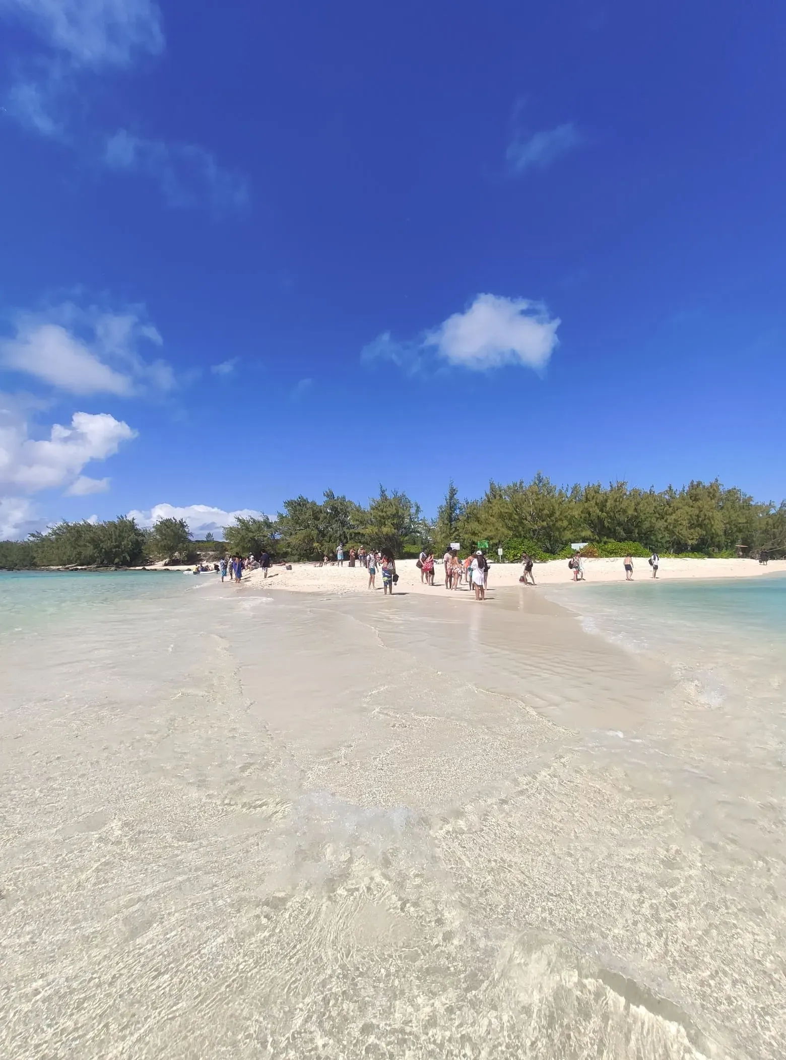 ecodyssey ile maurice IMG 0816 132156