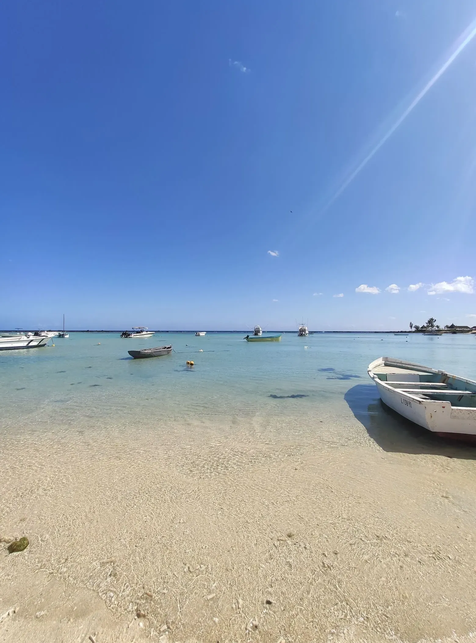 ecodyssey ile maurice IMG 0917 094949