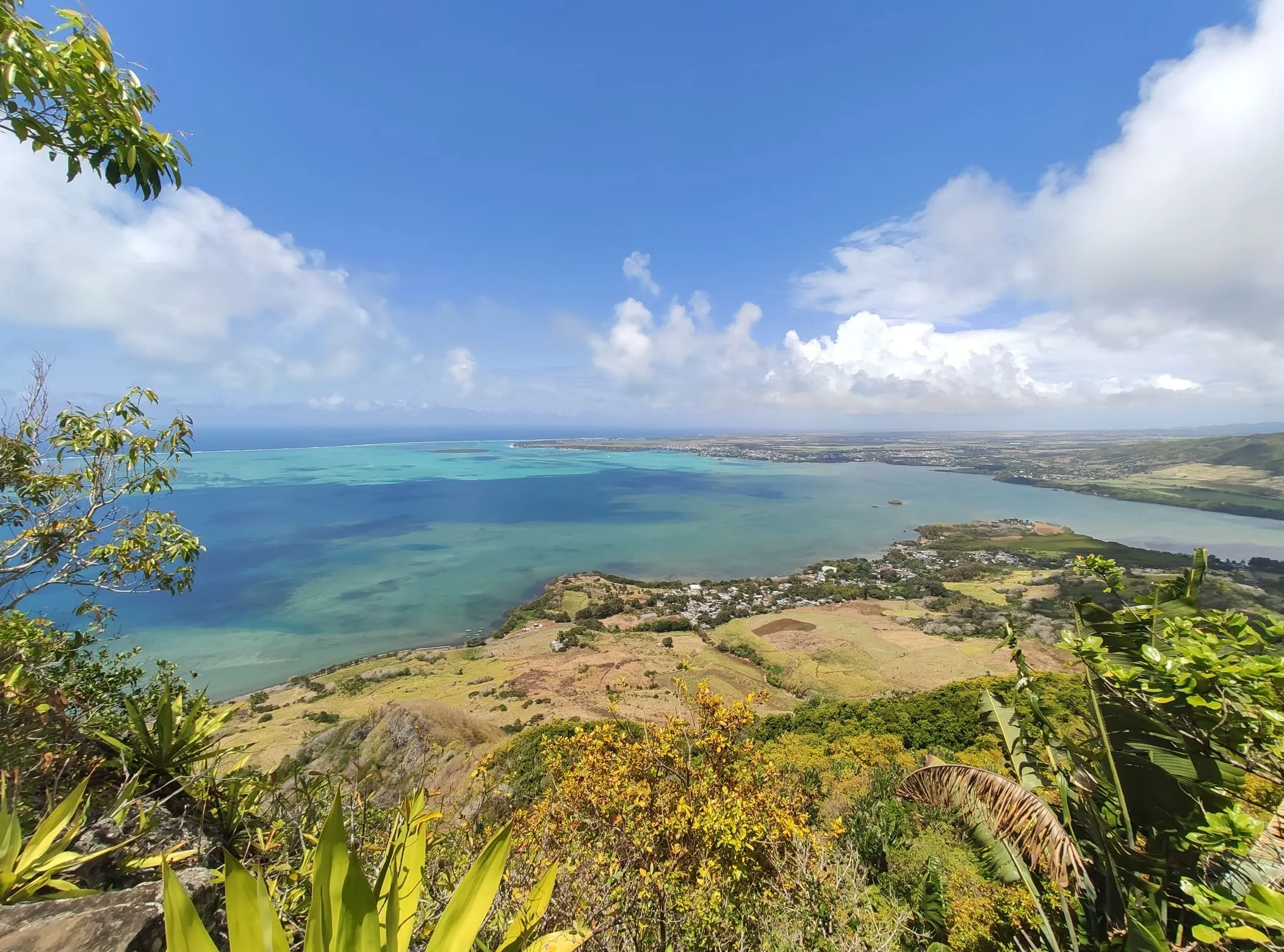 ecodyssey ile maurice IMG 1022 105341