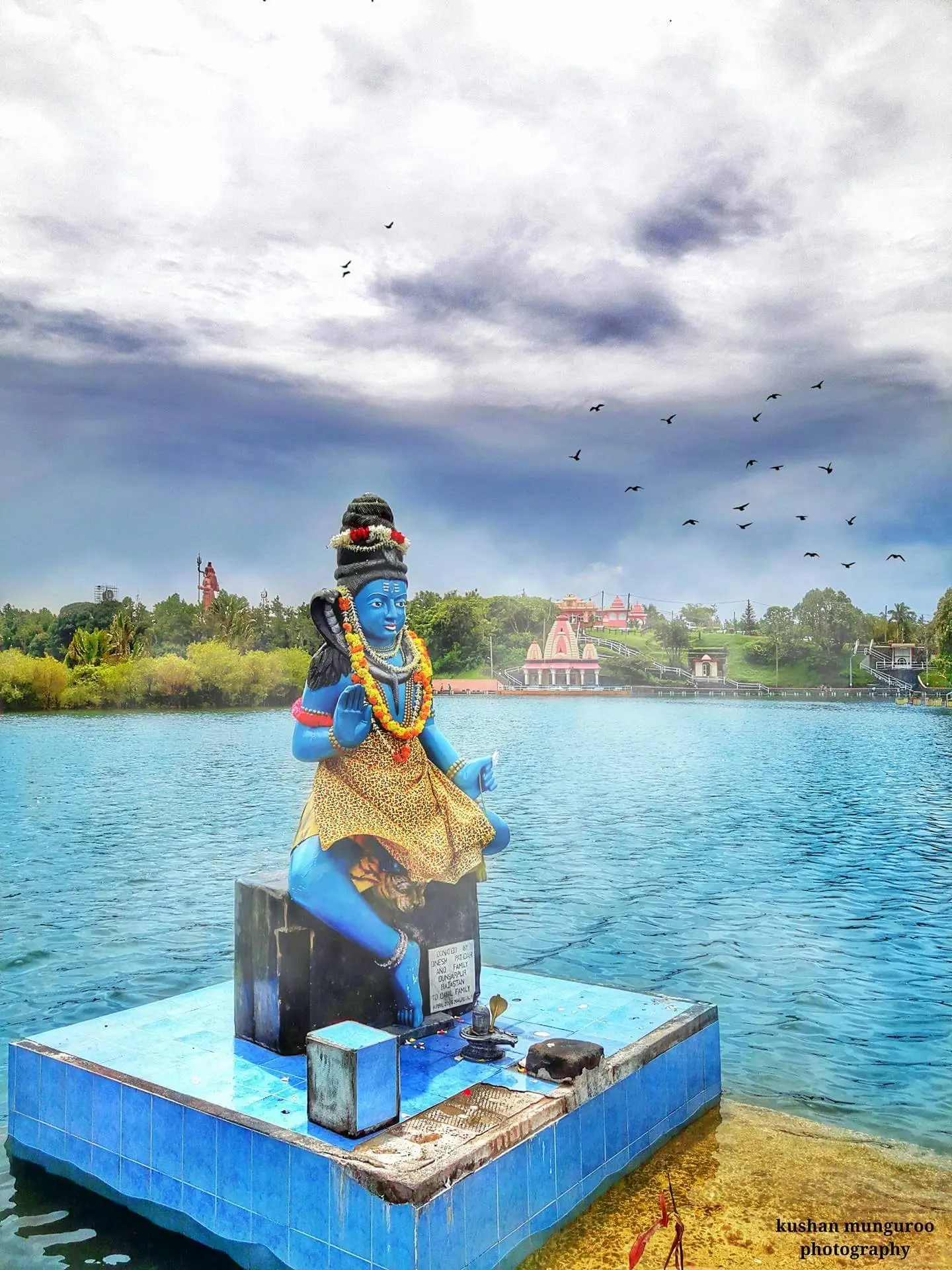 ecodyssey ile maurice grand bassin
