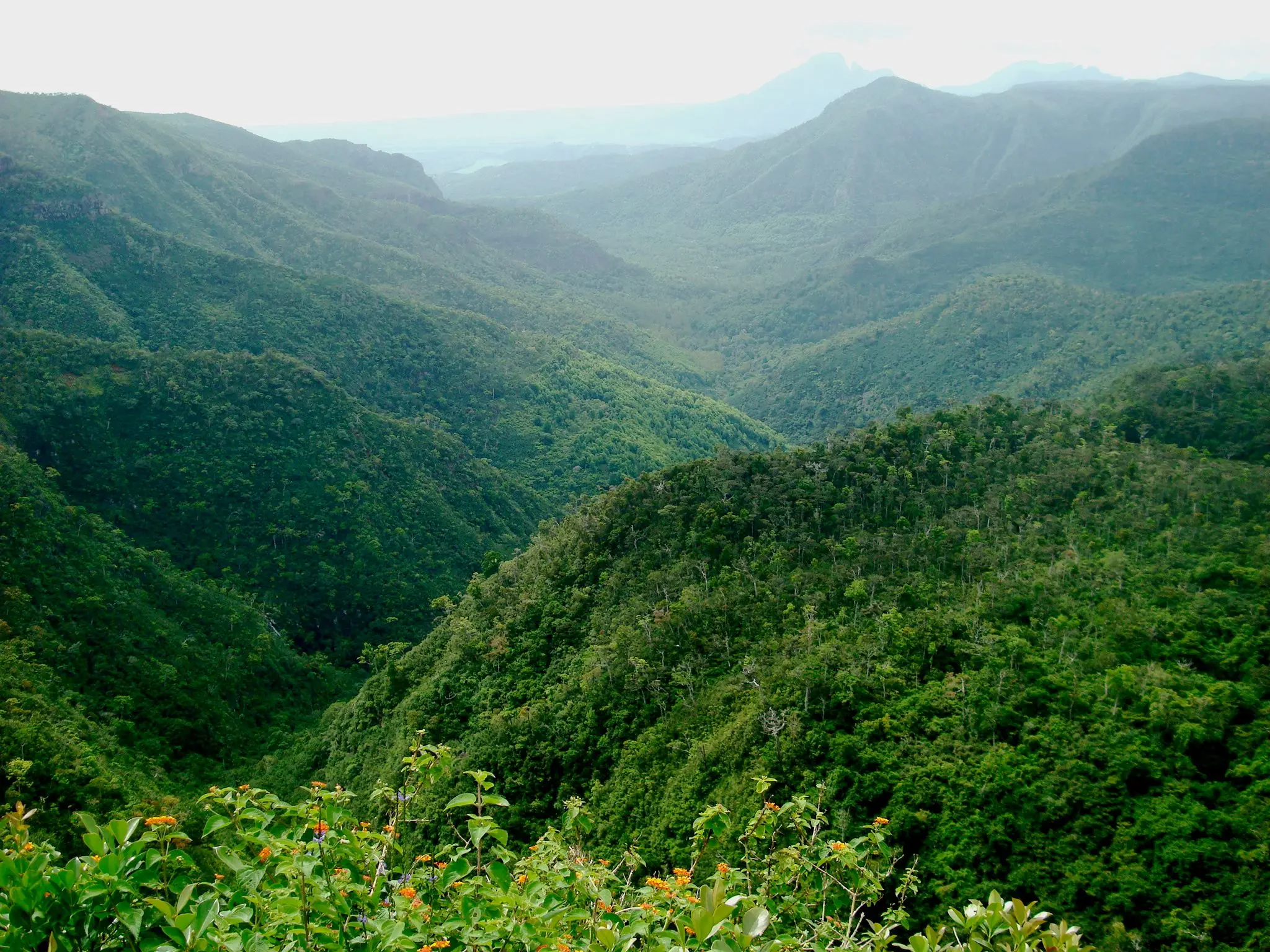 ecodyssey parc national gorge riviere noire