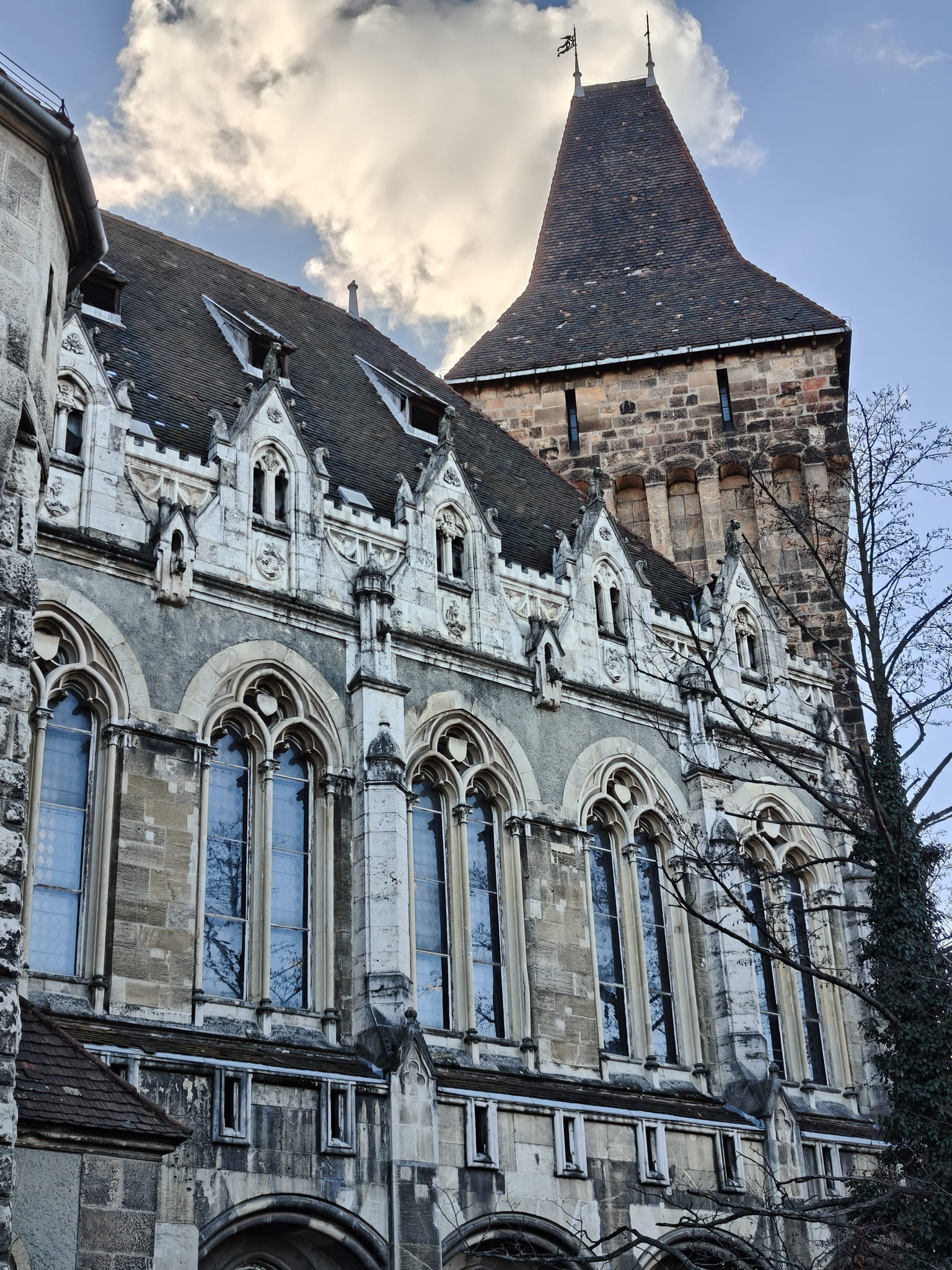 IMG budapest chateau vajdahunyad 0104100723