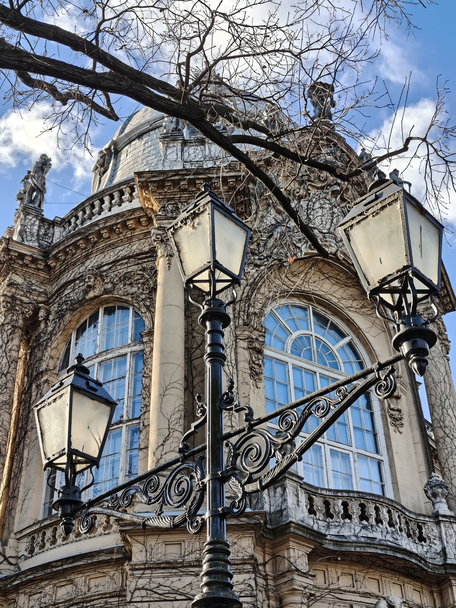 IMG budapest chateau vajdahunyad 0104103042