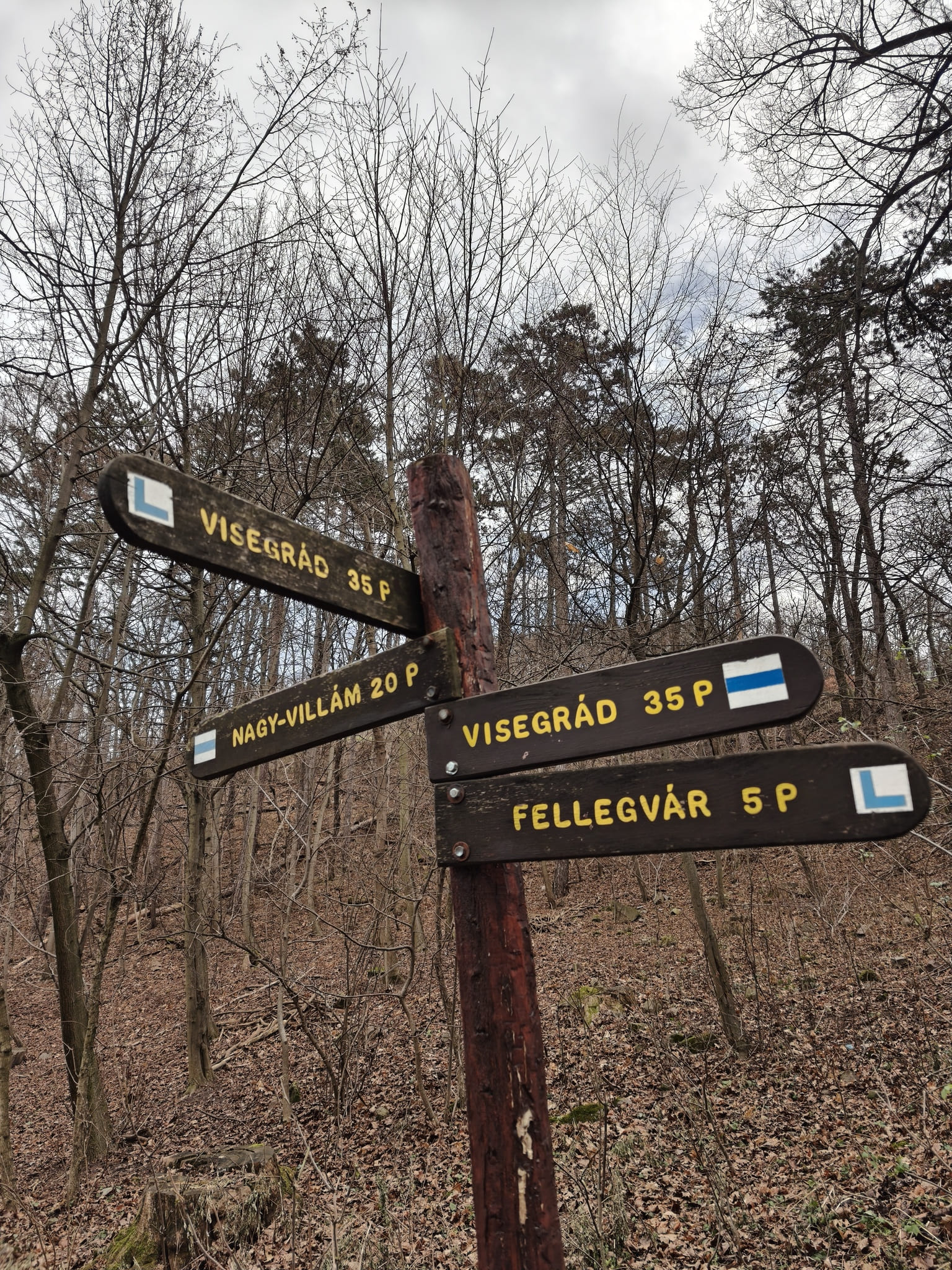 IMG budapest visegrad 0111102411