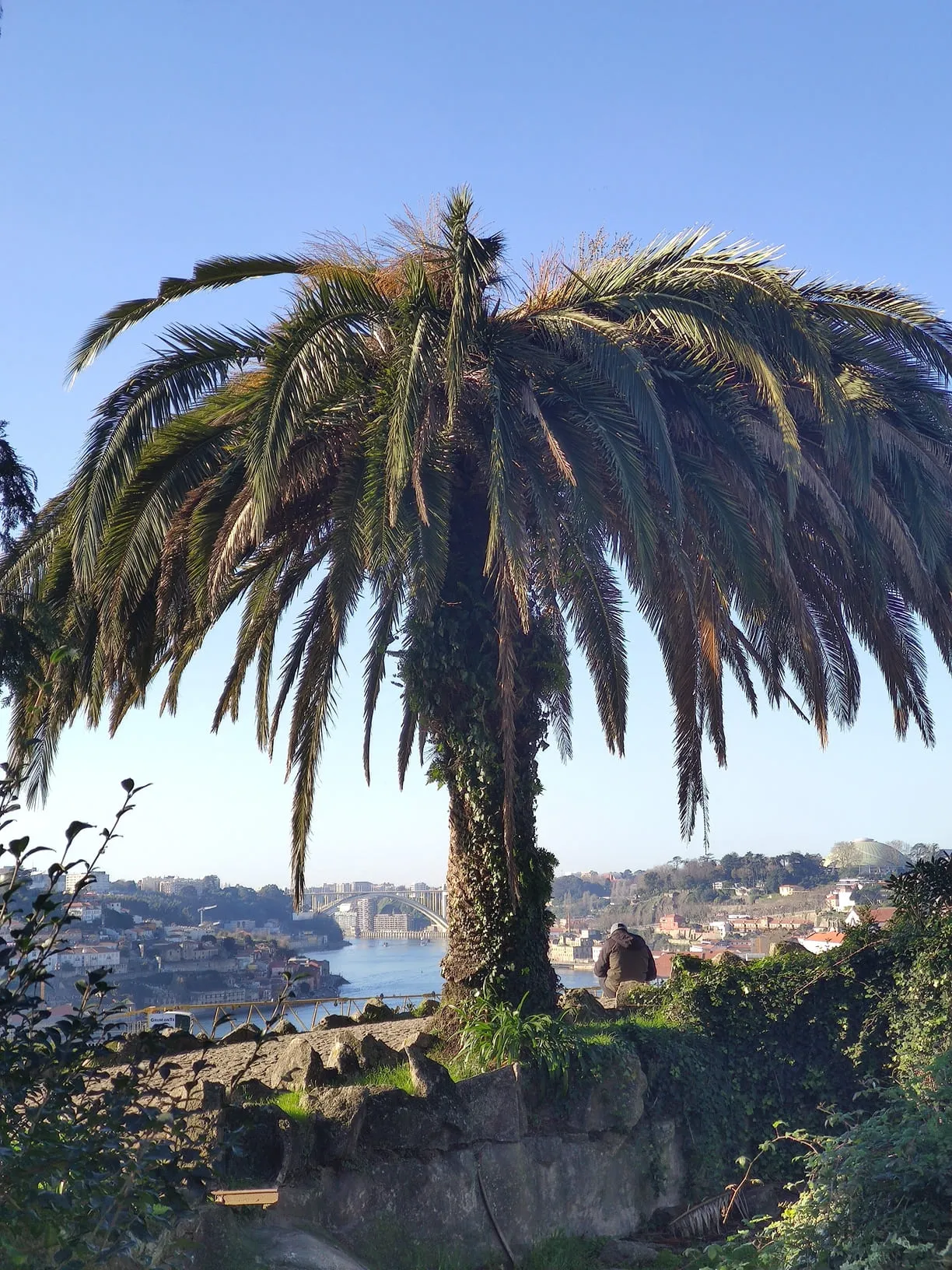 ecodyssey porto jardim morro mosteiro serra do pilar 1214 143137