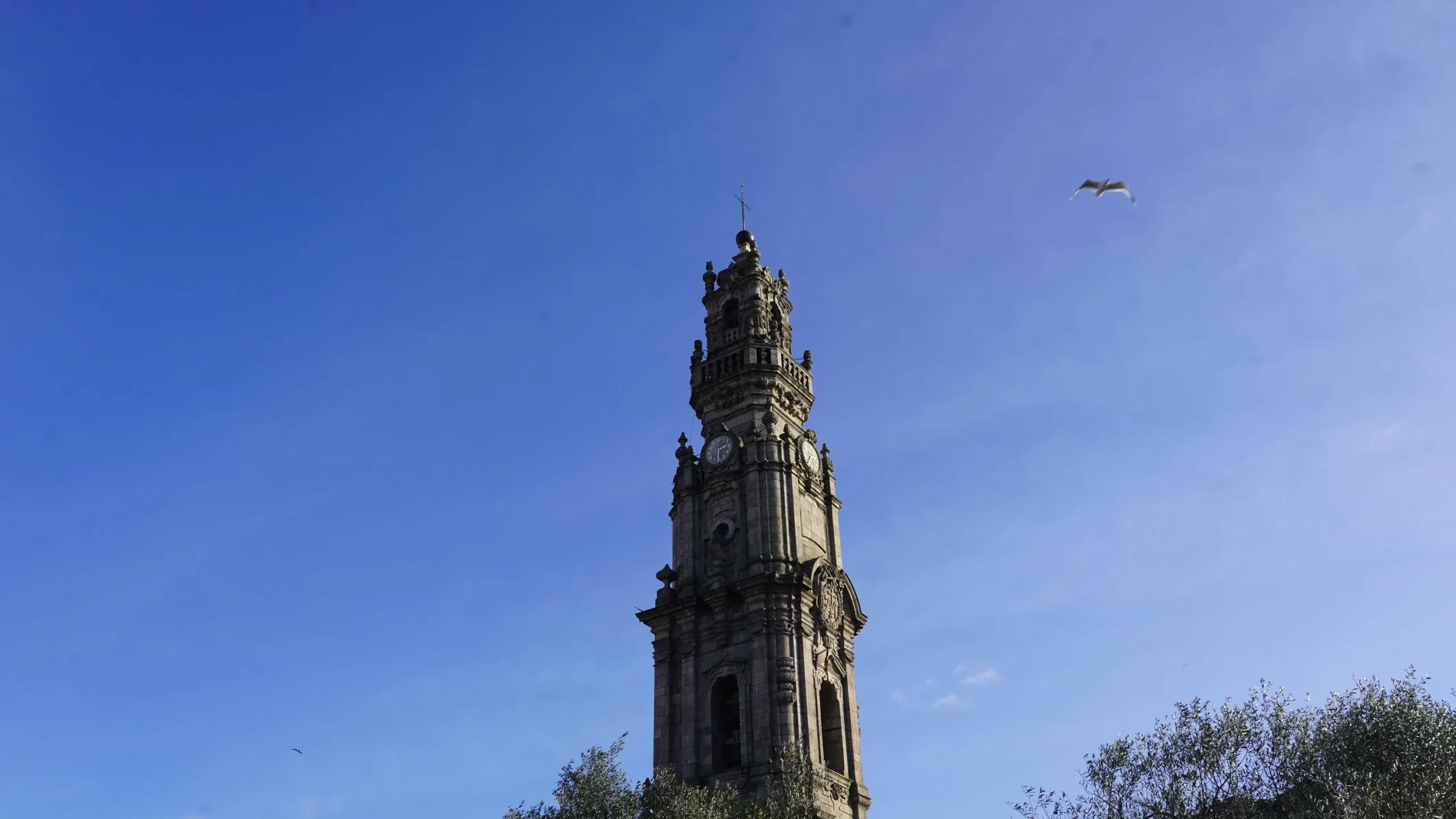 Torre Dos Clerigos
